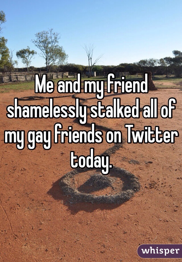 Me and my friend shamelessly stalked all of my gay friends on Twitter today.