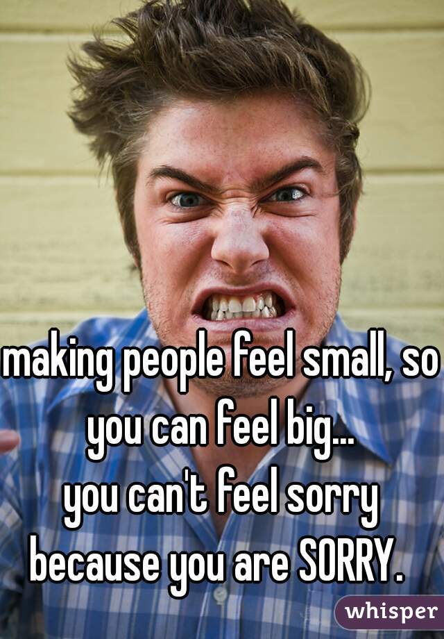 making people feel small, so you can feel big... 
you can't feel sorry because you are SORRY.  
