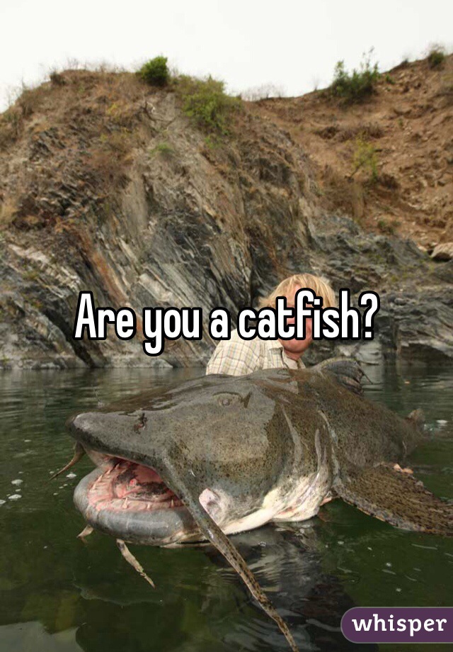 Are you a catfish?
