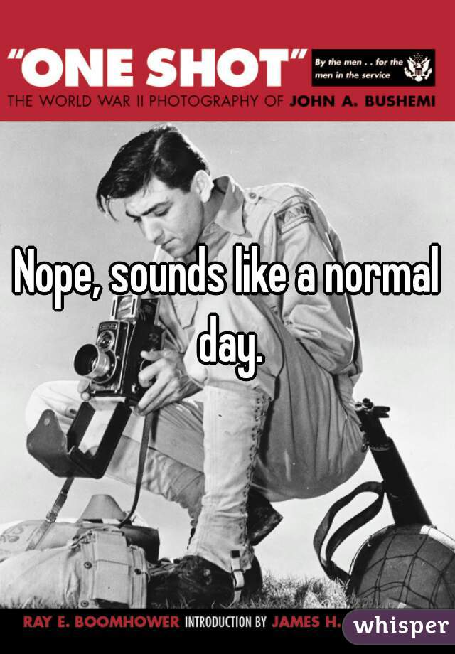 Nope, sounds like a normal day.