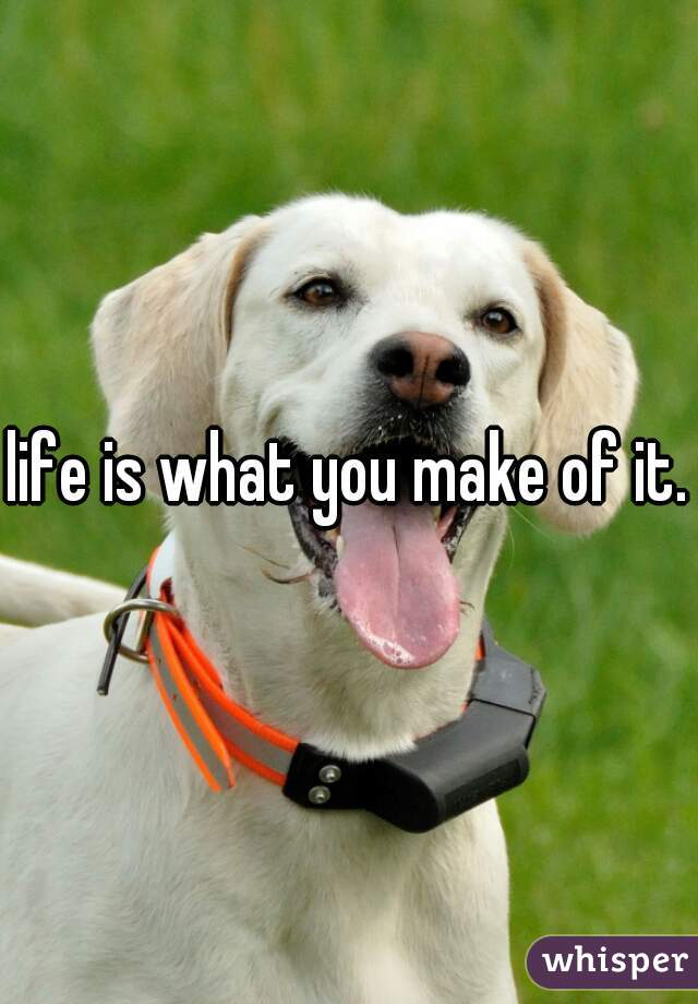 life is what you make of it.