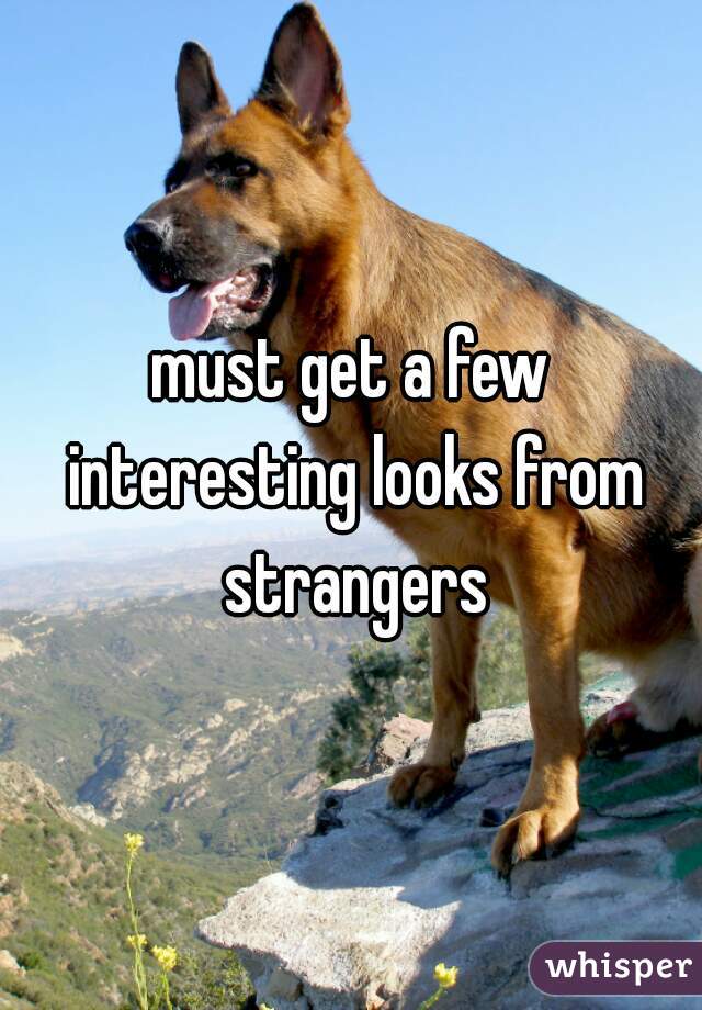 must get a few interesting looks from strangers