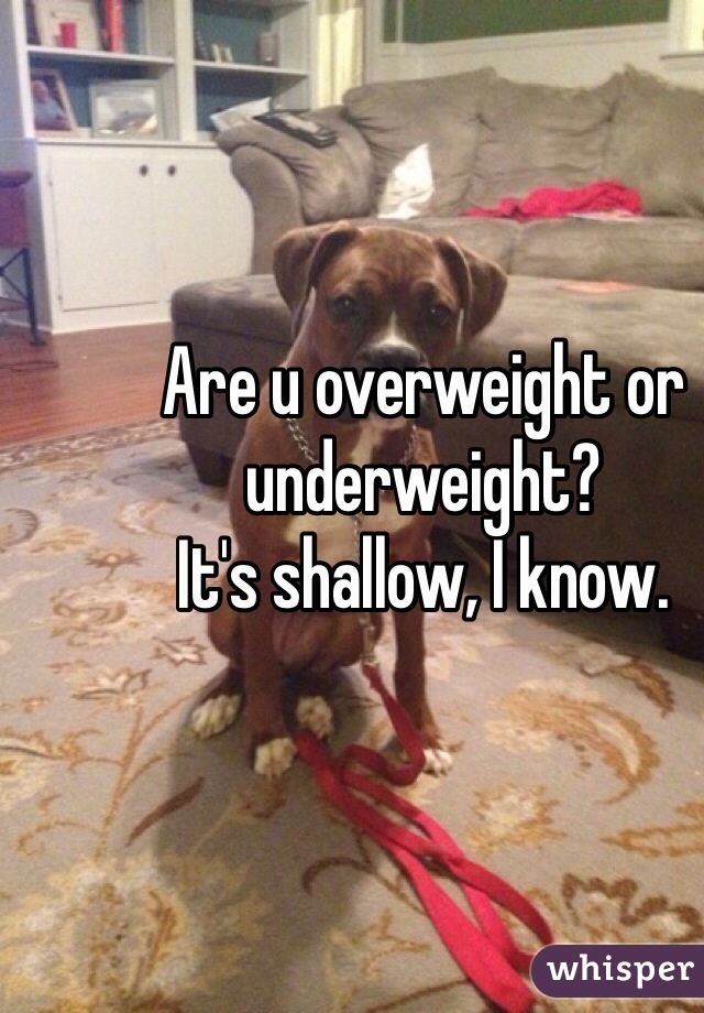 Are u overweight or underweight?
It's shallow, I know. 