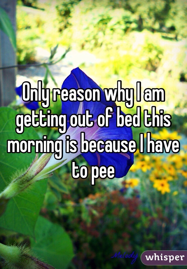 Only reason why I am getting out of bed this morning is because I have to pee