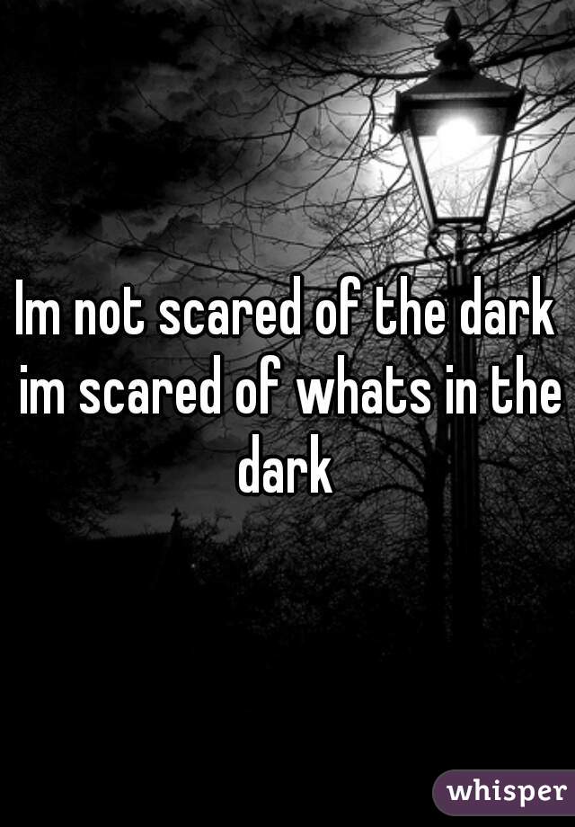 Im not scared of the dark im scared of whats in the dark 