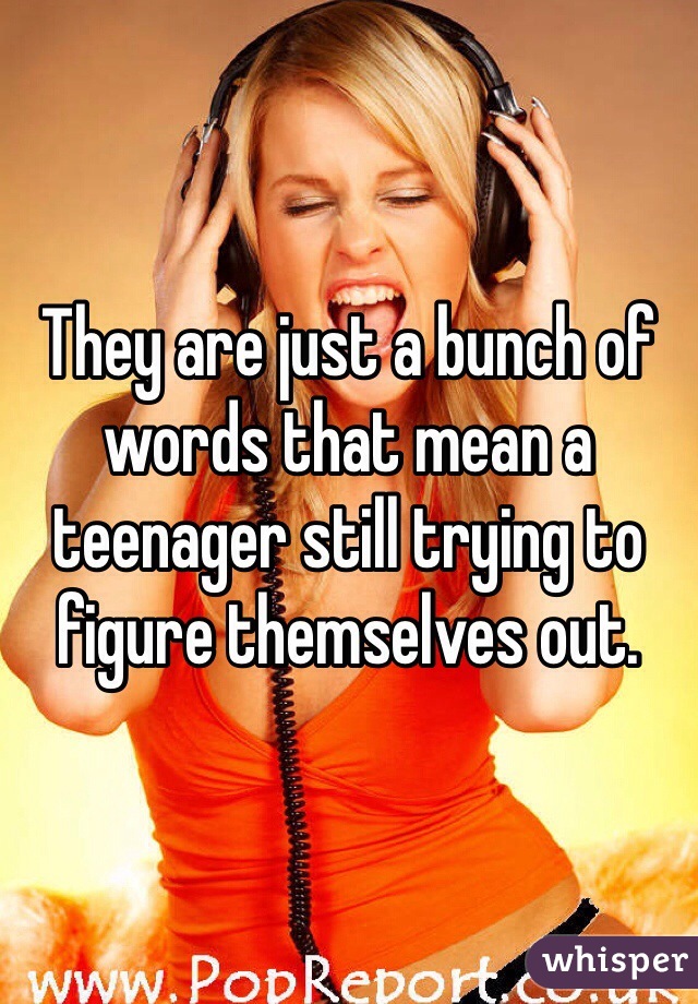 They are just a bunch of words that mean a teenager still trying to figure themselves out.