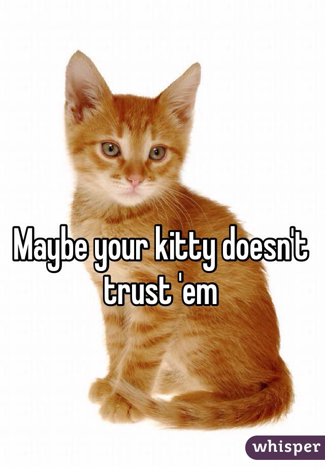 Maybe your kitty doesn't trust 'em