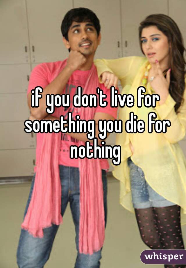 if you don't live for something you die for nothing 