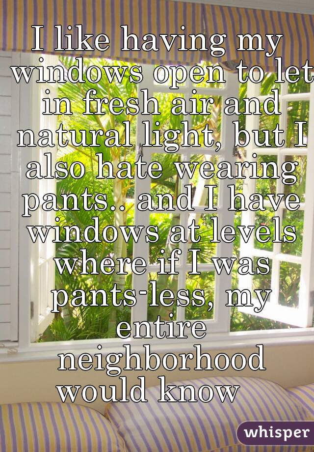 I like having my windows open to let in fresh air and natural light, but I also hate wearing pants.. and I have windows at levels where if I was pants-less, my entire neighborhood would know   