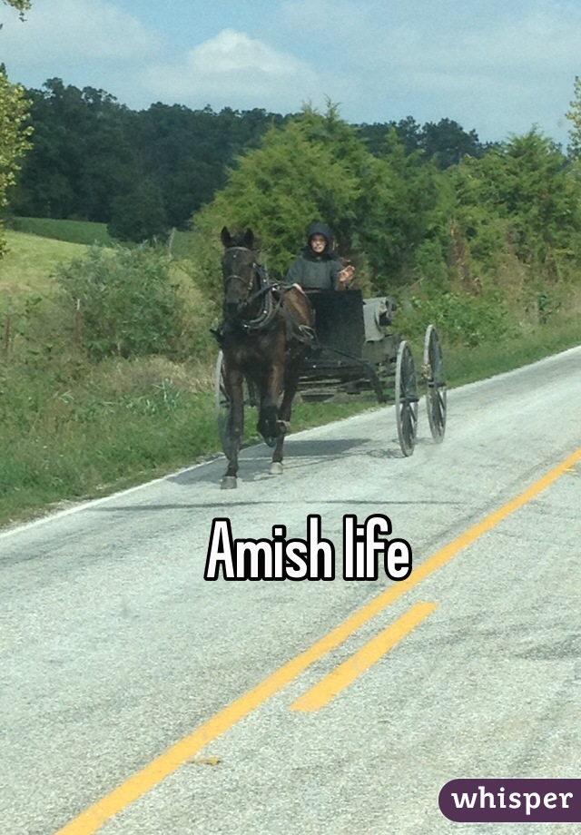 Amish life 
