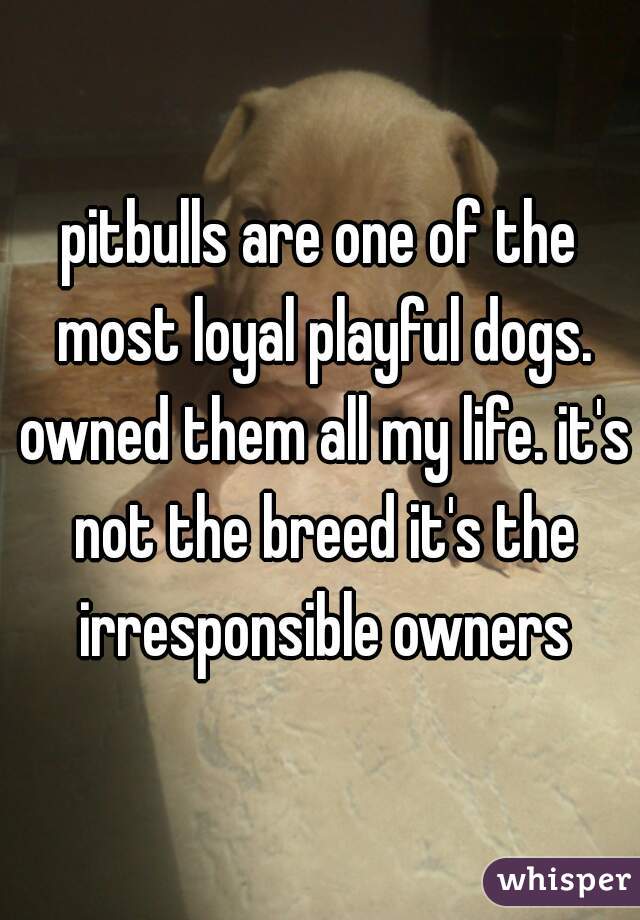 pitbulls are one of the most loyal playful dogs. owned them all my life. it's not the breed it's the irresponsible owners