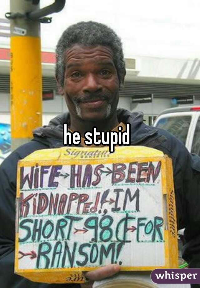 he stupid 