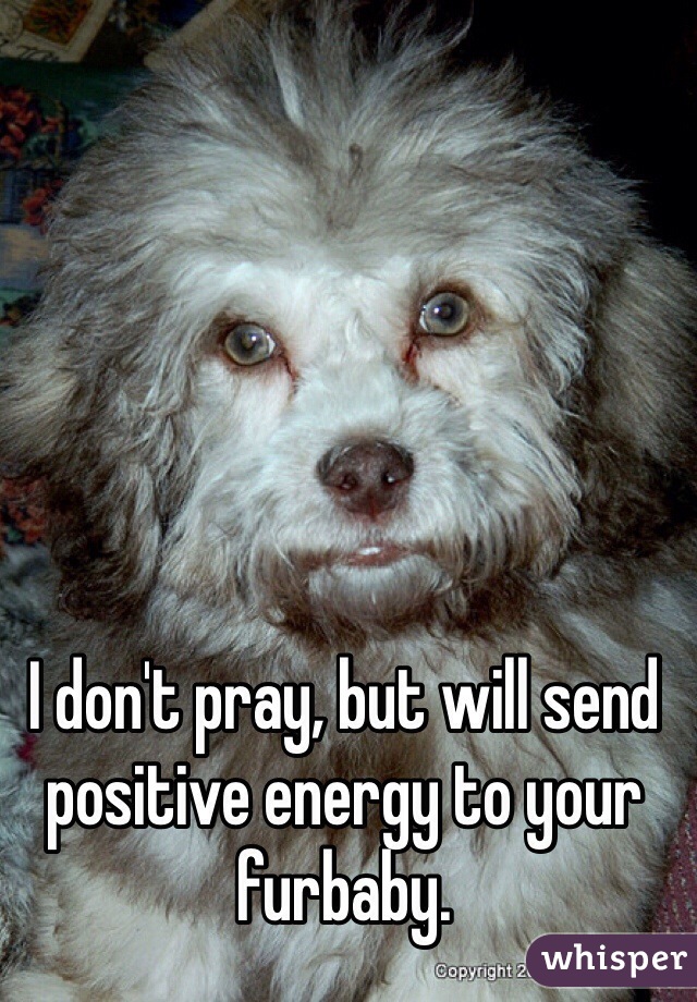 I don't pray, but will send positive energy to your furbaby.
