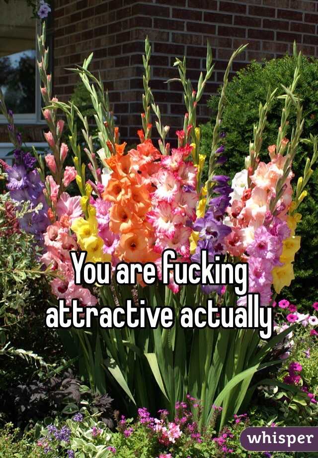 You are fucking attractive actually 