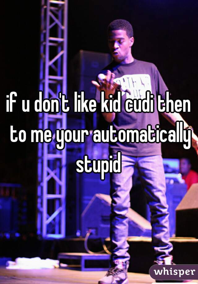 if u don't like kid cudi then to me your automatically stupid 