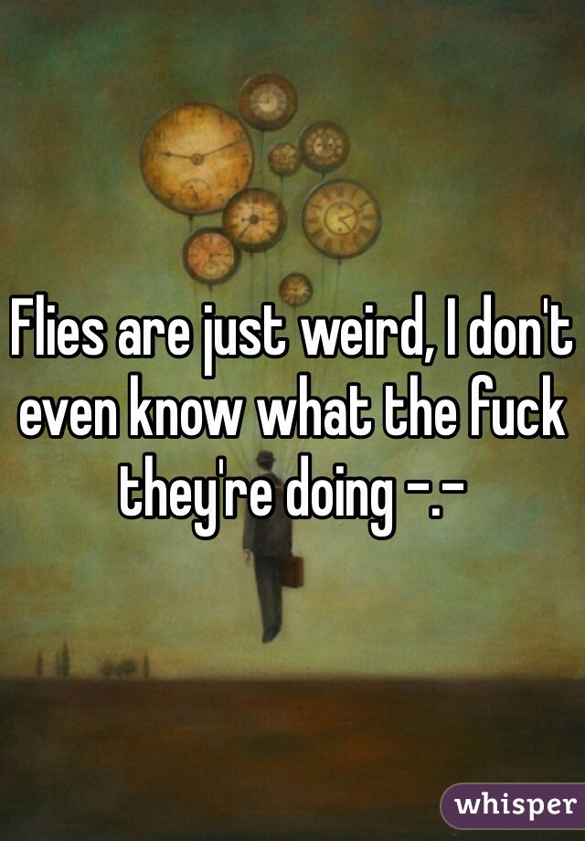 Flies are just weird, I don't even know what the fuck they're doing -.-