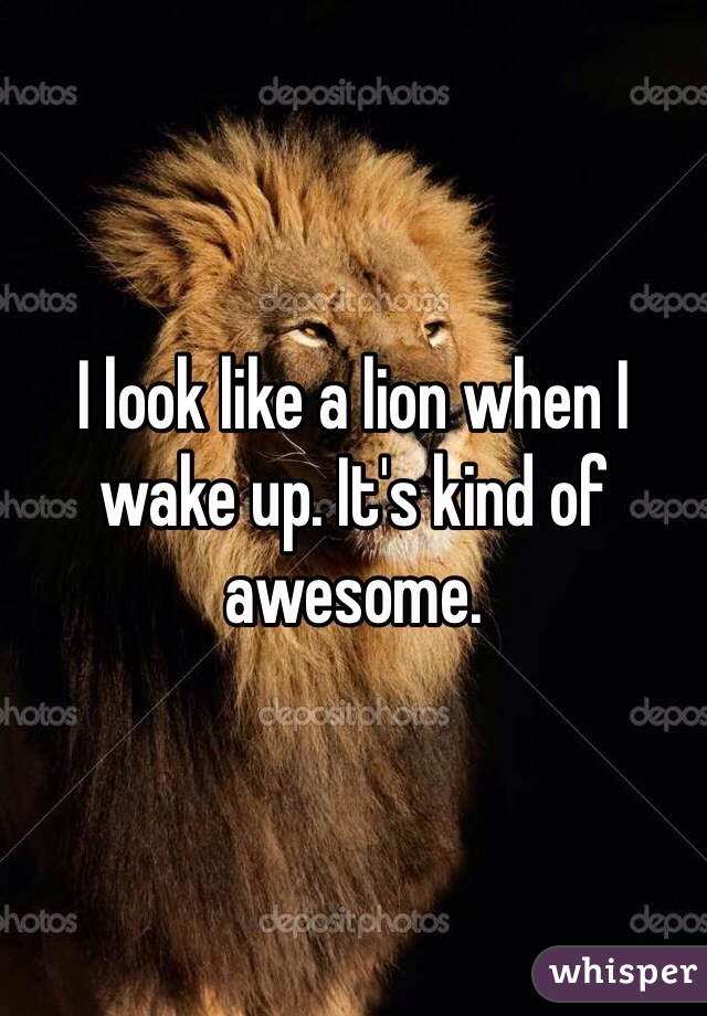 I look like a lion when I wake up. It's kind of awesome.
