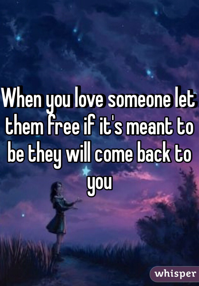 When you love someone let them free if it's meant to be they will come back to you 