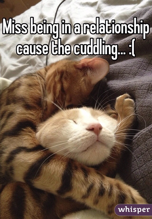 Miss being in a relationship cause the cuddling... :(
