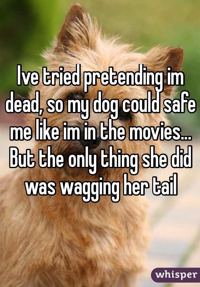 Ive tried pretending im dead, so my dog could safe me like im in the movies... But the only thing she did was wagging her tail
