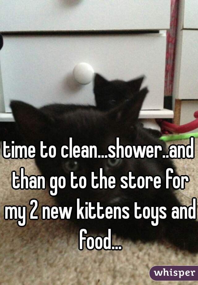 time to clean...shower..and than go to the store for my 2 new kittens toys and food...