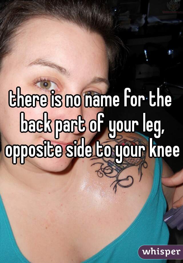 there is no name for the back part of your leg, opposite side to your knee