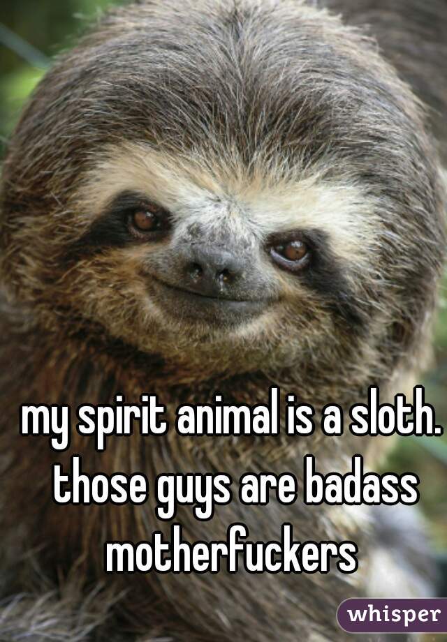 my spirit animal is a sloth. those guys are badass motherfuckers 