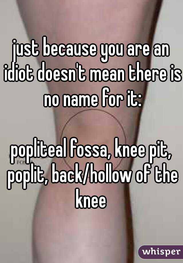 just because you are an idiot doesn't mean there is no name for it:
  
popliteal fossa, knee pit, poplit, back/hollow of the knee 