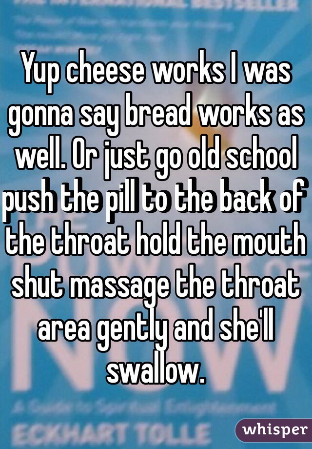 Yup cheese works I was gonna say bread works as well. Or just go old school push the pill to the back of the throat hold the mouth shut massage the throat area gently and she'll swallow.  