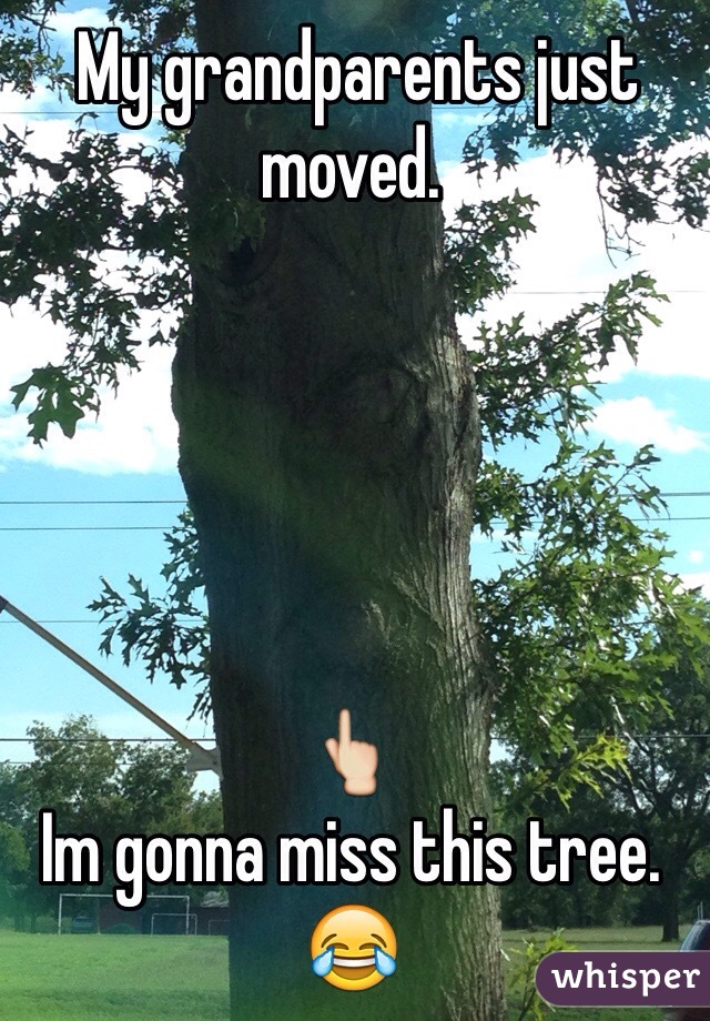  My grandparents just moved. 



              

👆
Im gonna miss this tree.
😂