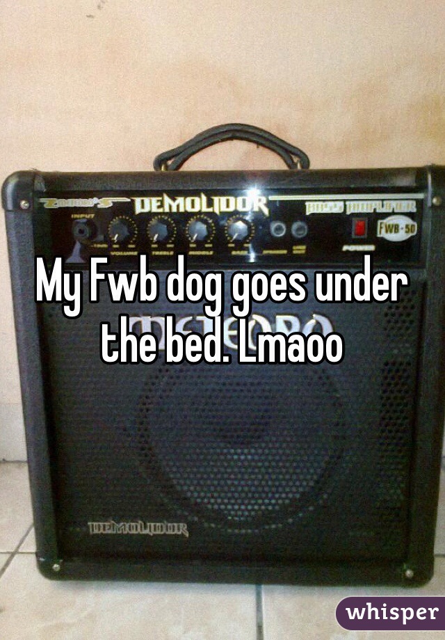 My Fwb dog goes under the bed. Lmaoo