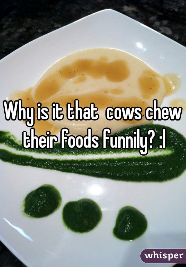 Why is it that  cows chew their foods funnily? :l