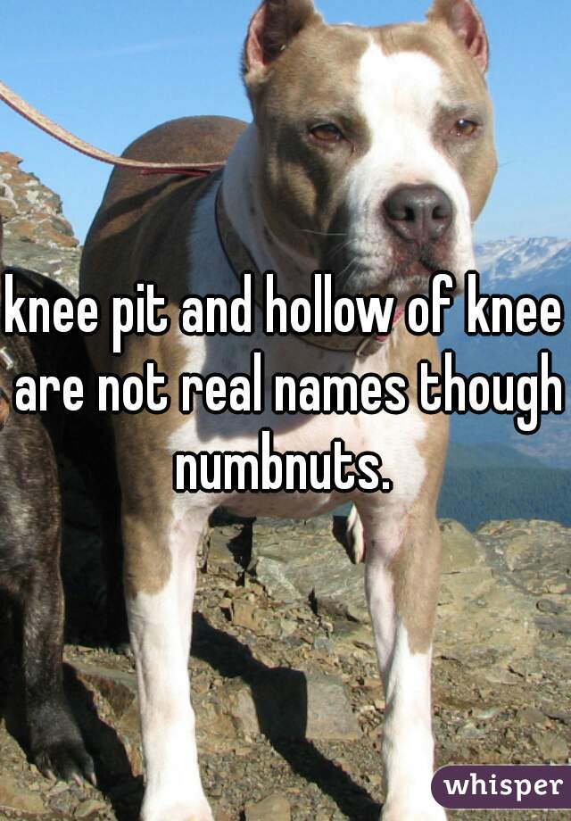 knee pit and hollow of knee are not real names though numbnuts. 