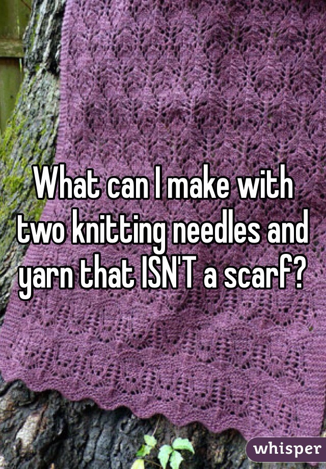 What can I make with two knitting needles and yarn that ISN'T a scarf? 