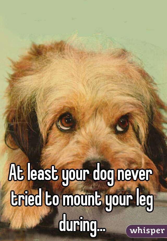 At least your dog never tried to mount your leg during...