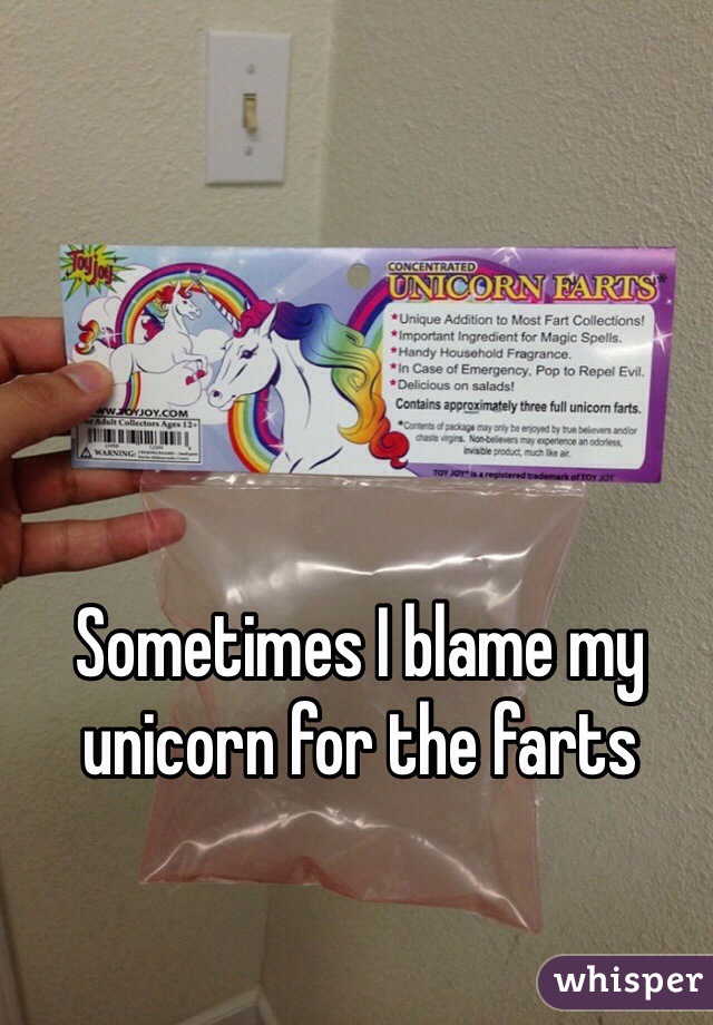 Sometimes I blame my unicorn for the farts