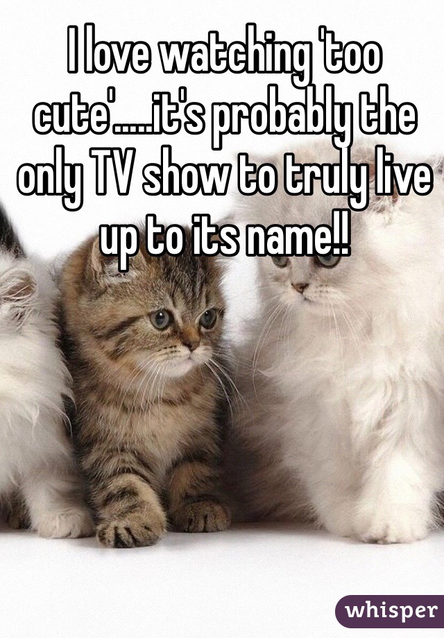 I love watching 'too cute'.....it's probably the only TV show to truly live up to its name!! 