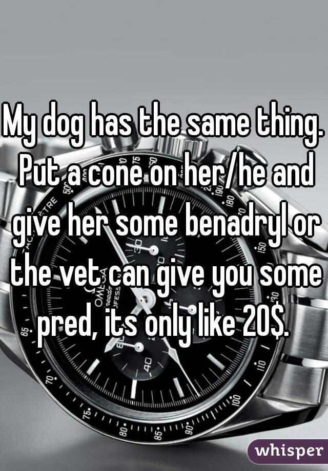 My dog has the same thing. Put a cone on her/he and give her some benadryl or the vet can give you some pred, its only like 20$. 