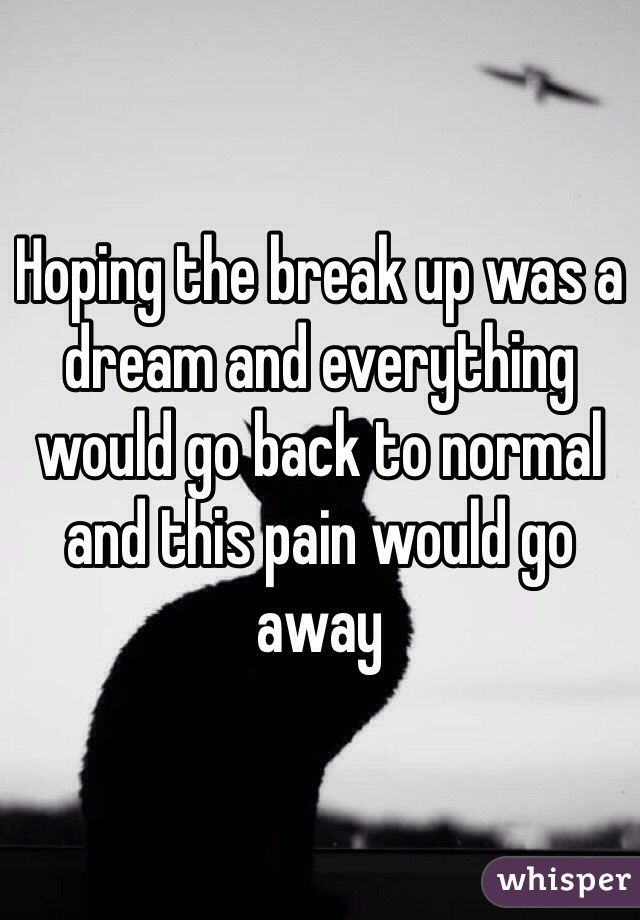 Hoping the break up was a dream and everything would go back to normal and this pain would go away