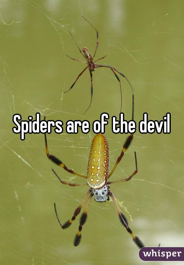 Spiders are of the devil