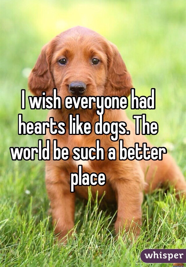 I wish everyone had hearts like dogs. The world be such a better place 
