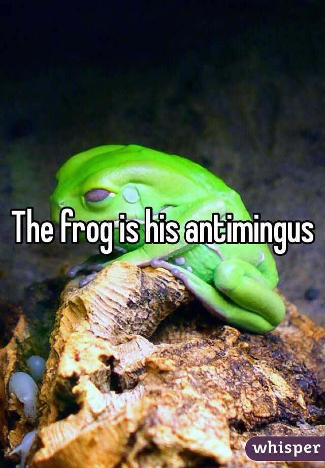 The frog is his antimingus 