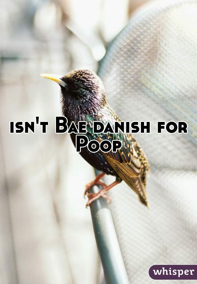 isn't Bae danish for Poop 