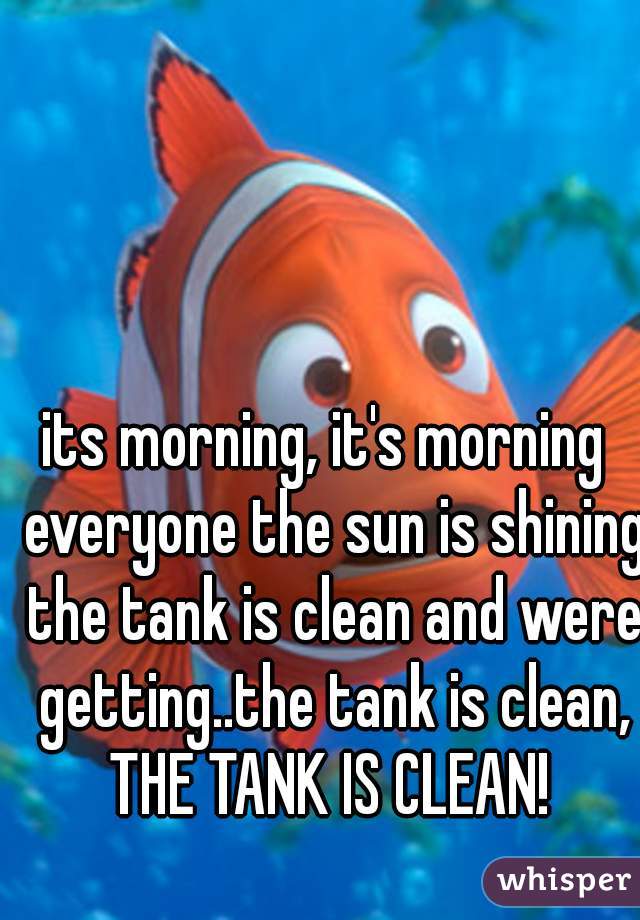 its morning, it's morning  everyone the sun is shining the tank is clean and were getting..the tank is clean, THE TANK IS CLEAN! 