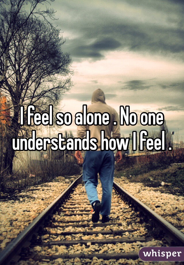 I feel so alone . No one understands how I feel . 