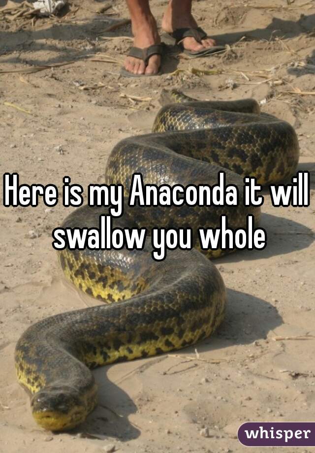 Here is my Anaconda it will swallow you whole