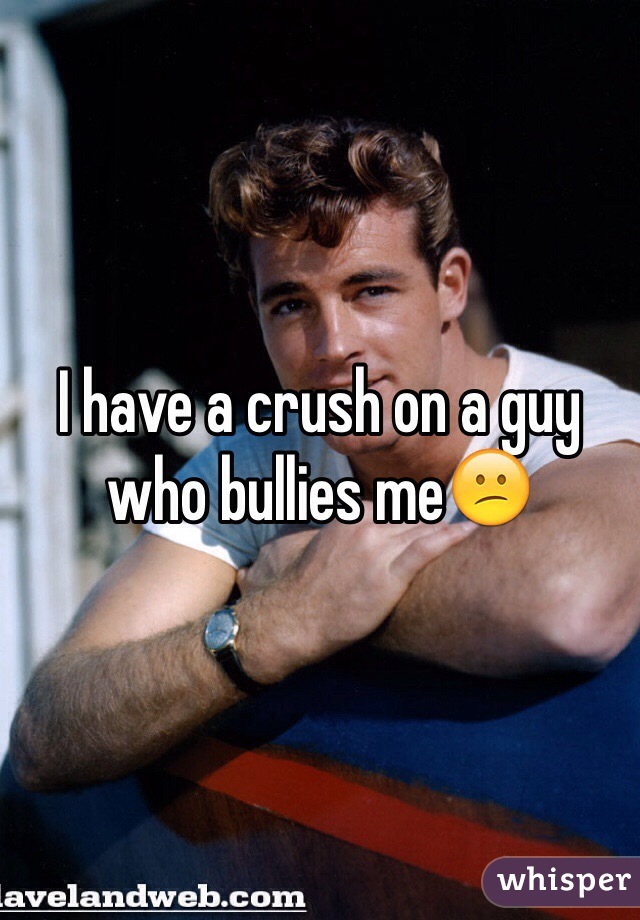 I have a crush on a guy who bullies me😕