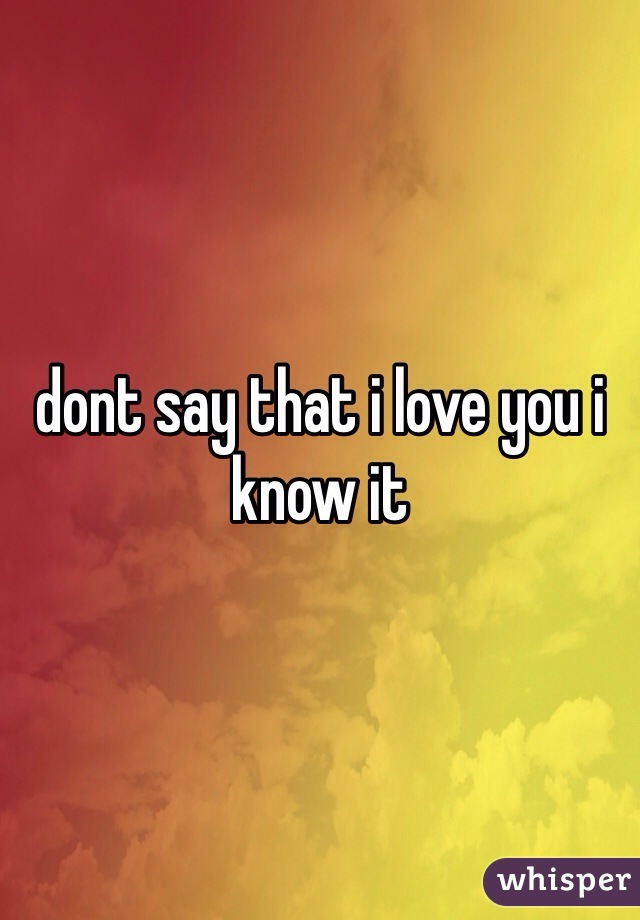 dont say that i love you i know it 