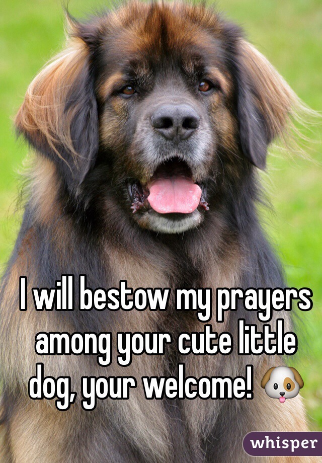 I will bestow my prayers among your cute little dog, your welcome! 🐶