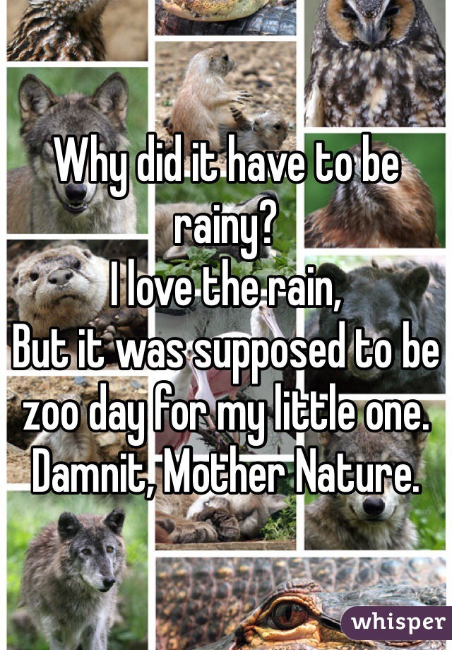 Why did it have to be rainy?
I love the rain,
But it was supposed to be zoo day for my little one.
Damnit, Mother Nature. 